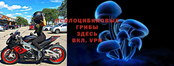шишки Лиски