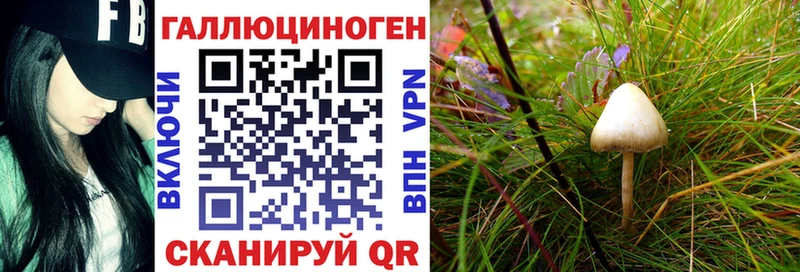 купить закладку Покачи Галлюциногенные грибы мухоморы