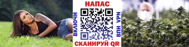 Бошки марихуана THC 21%  Покачи 